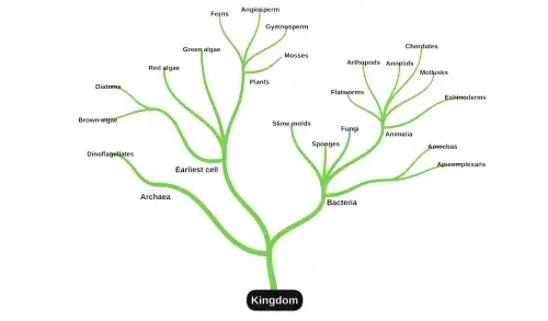 miMind screenshot 3