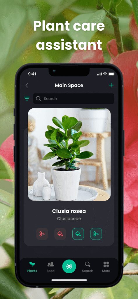 PlantIn: Plant Identification screenshot 3