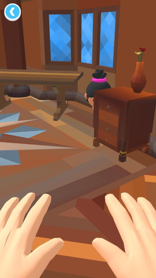 Hide N’ Seek 3D screenshot 3