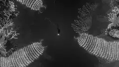 SILT screenshot 4