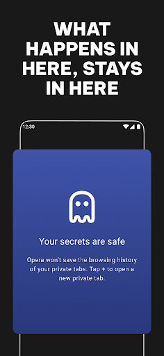 Opera Browser screenshot 4