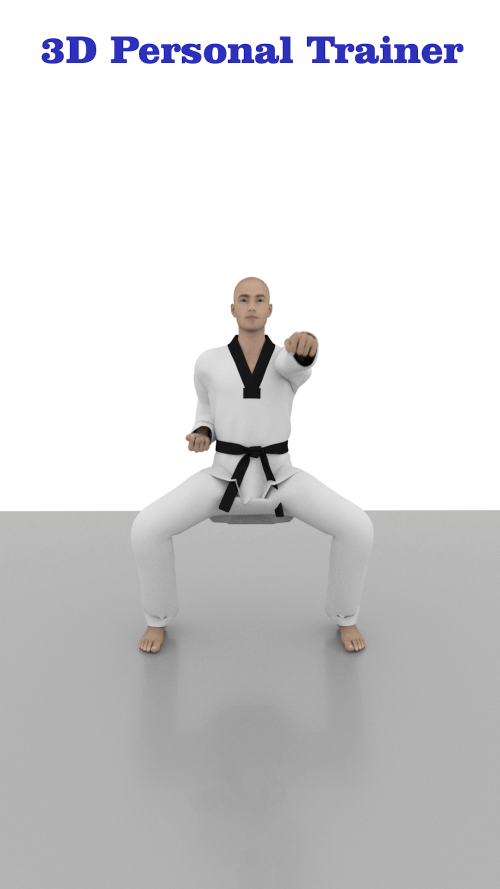 Taekwondo Workout At Home screenshot 4