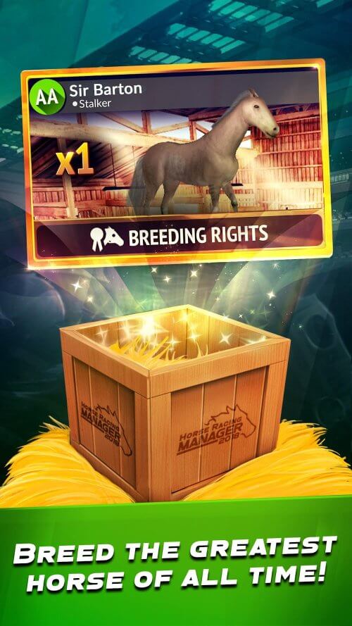 Horse Racing Manager 2025 screenshot 4