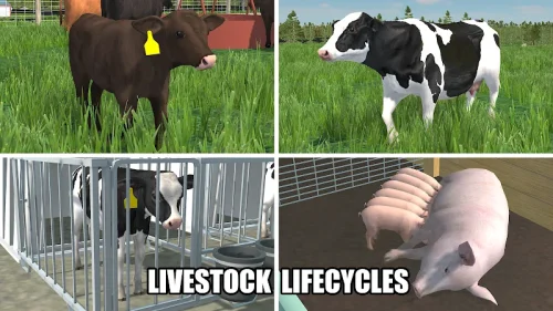 American Farming screenshot 4