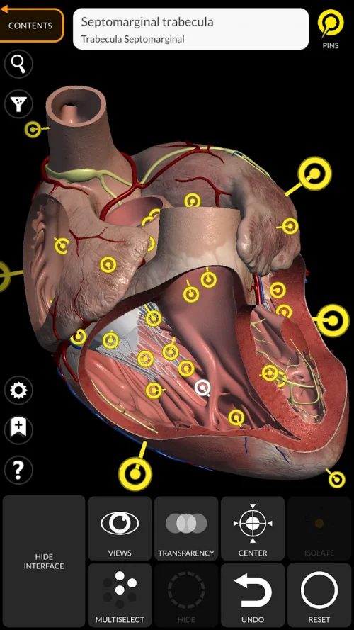 Anatomy 3D Atlas screenshot 4