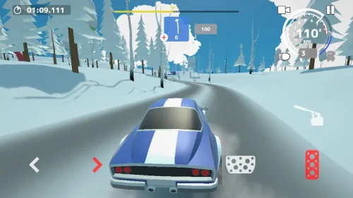 N3Rally screenshot 4