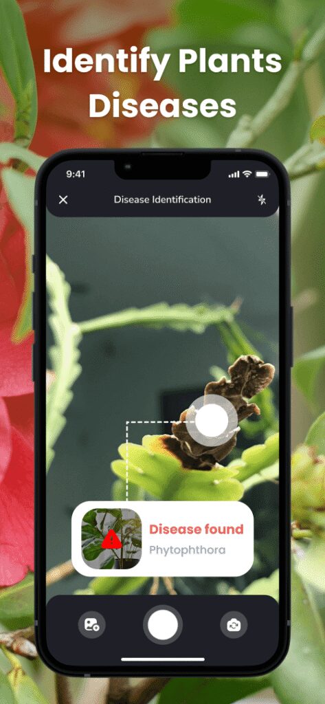 PlantIn: Plant Identification screenshot 4