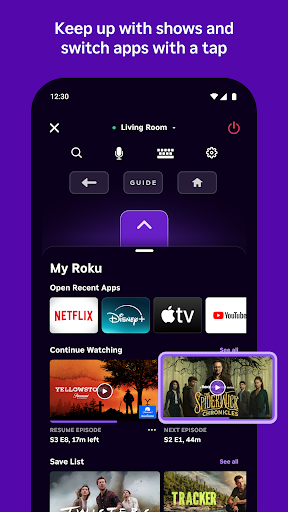 Roku screenshot 4