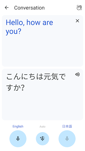 Google Translate screenshot 5