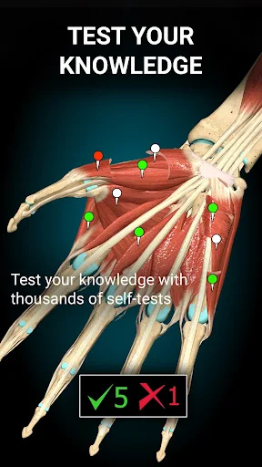 Anatomy Learning MOD screenshot 5