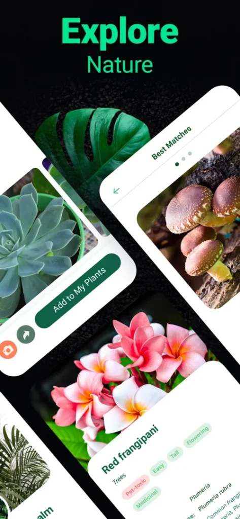 Plantum – Plant Identifier screenshot 5