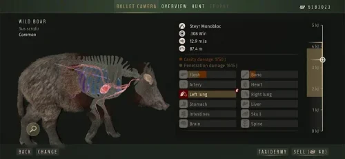 Way of the Hunter Wild Europe screenshot 5