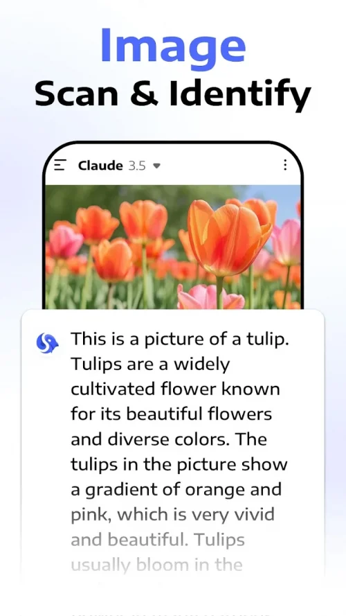Deep Think – AI Seek Chatbot screenshot 5
