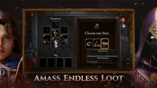 Halls of Torment: Premium MOD screenshot 5