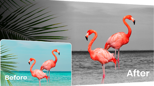 Color Pop Effects screenshot 5