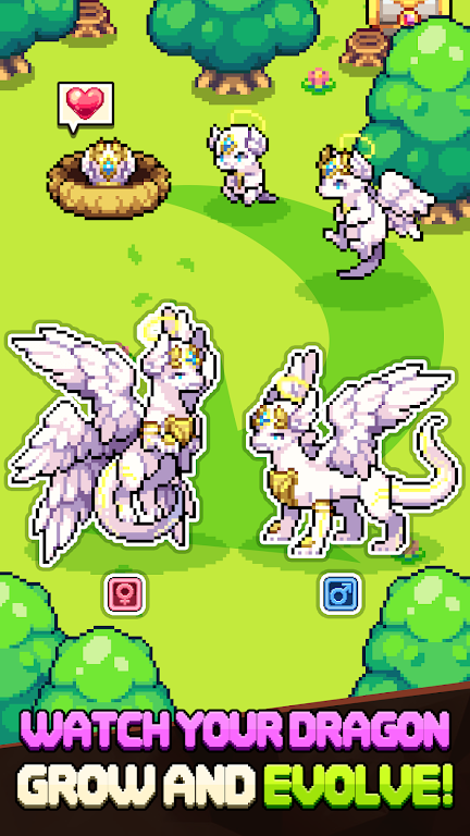 Dragon Village Collection screenshot 5