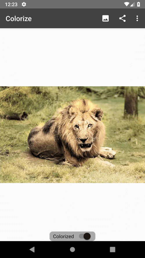 Colorize Images screenshot 5