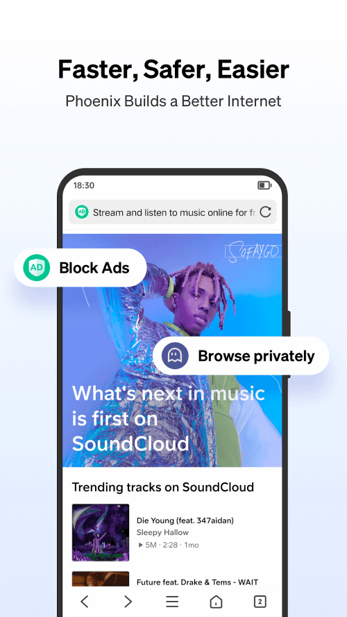 Phoenix Browser screenshot 5