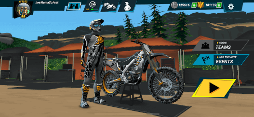 Mad Skills Motocross 3 screenshot 5
