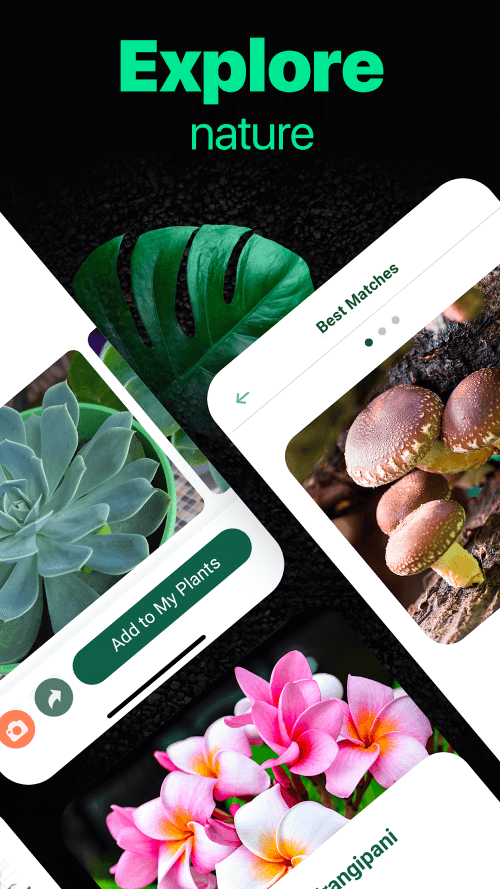 NatureID screenshot 5