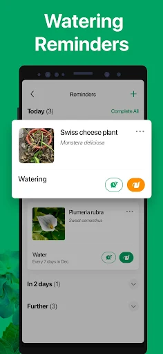 PictureThis screenshot 5