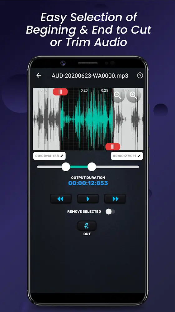 Audio Video Manager screenshot 5