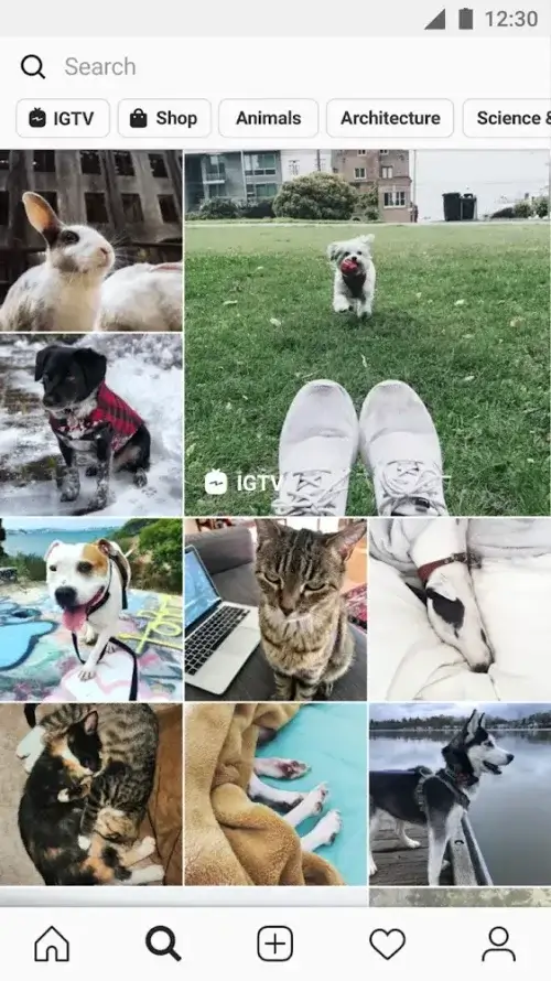 Instagram screenshot 5