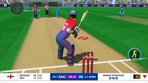 World Cricket Champions League screenshot 5