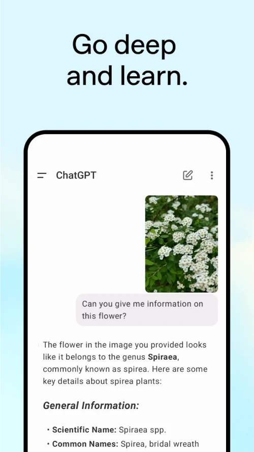 ChatGPT screenshot 5