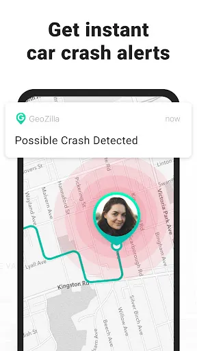 GeoZilla screenshot 5
