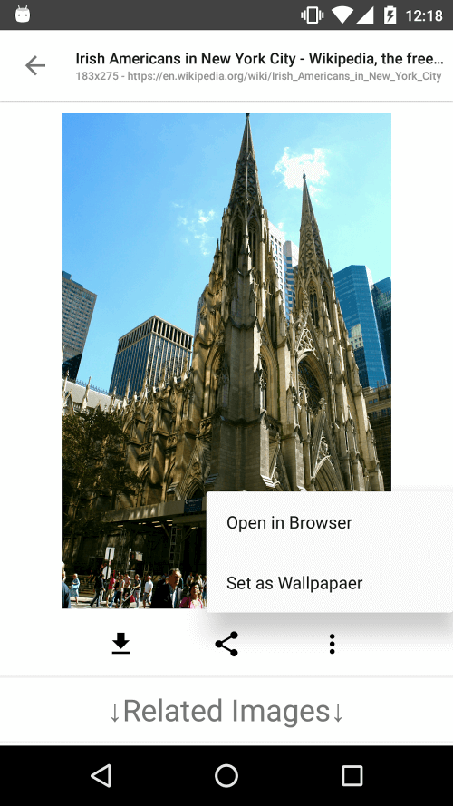 ImageSearchMan – Image Search screenshot 5