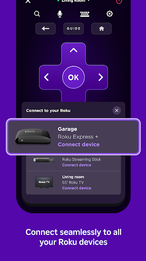 Roku screenshot 5