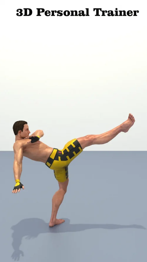 Capoeira Workout At Home screenshot 5