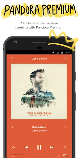 Pandora screenshot 6