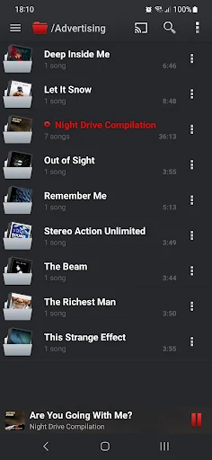 PlayerPro Music Player (Pro) screenshot 6
