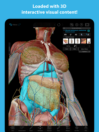 Human Anatomy Atlas 2026 screenshot 6