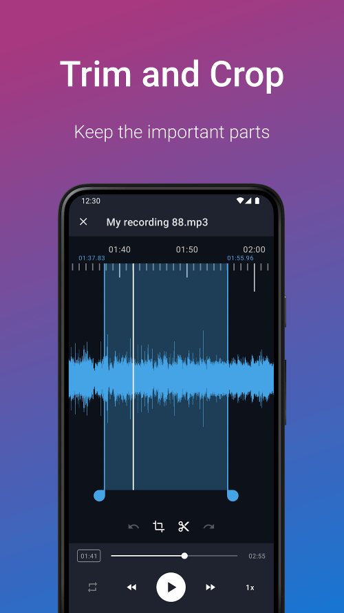 Easy Voice Recorder Pro MOD screenshot 6