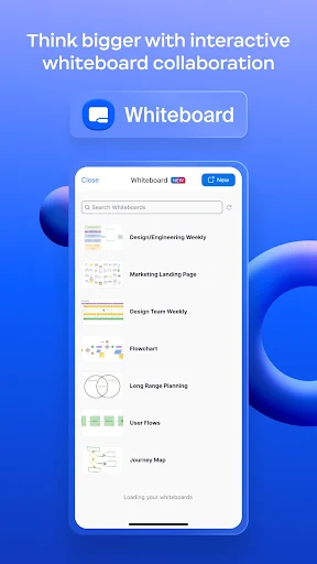 ZOOM screenshot 6