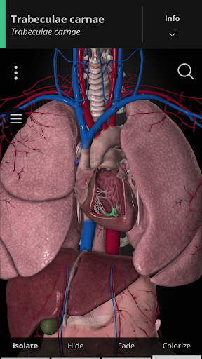 Anatomyka MOD screenshot 6
