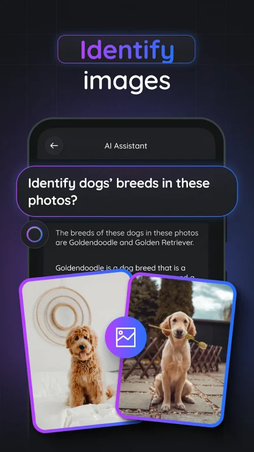 Gemmy AI: Chat & Assistant screenshot 6