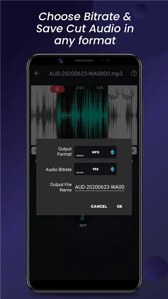 Audio Video Manager screenshot 6