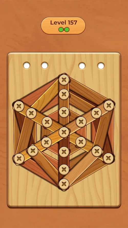 Wood Screw Puzzle screenshot 6