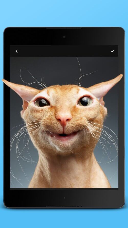 Photo Wobble Editor – Jellify screenshot 6