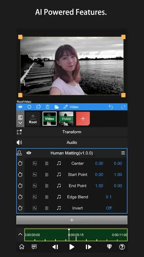 Node Video screenshot 6