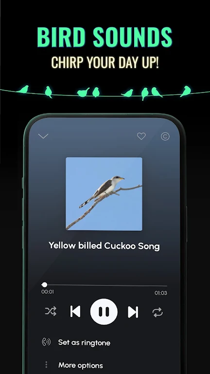 Ringtones for Android screenshot 6