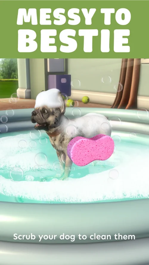Pocket Paws: My lovely dogs screenshot 6