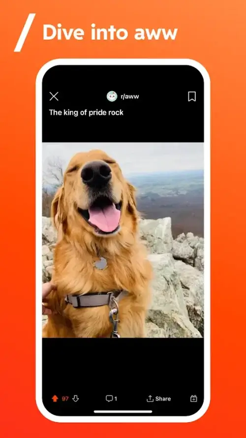 Reddit screenshot 6
