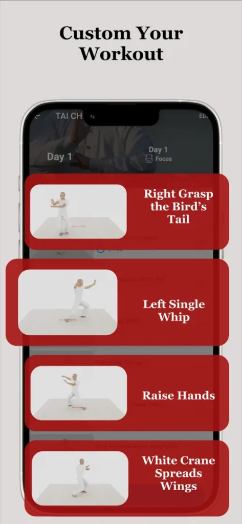 Tai Chi Workout at Home screenshot 6
