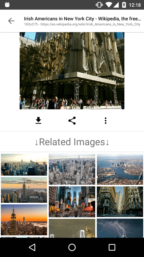 ImageSearchMan – Image Search screenshot 6