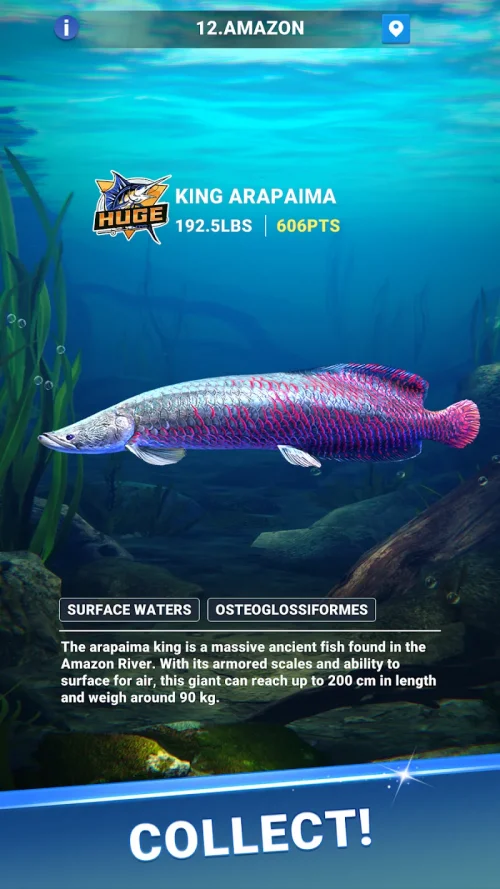 Fishing Travel screenshot 6